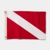 Diver Down Flag -Surf Drift Shop 0008 7Z4A9133