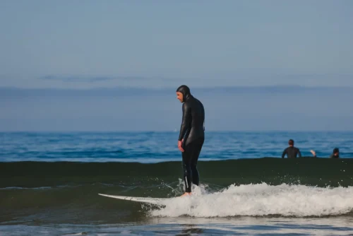 Almond X KBut | Mega Beach Chicken -Surf Drift Shop 2E1A3793