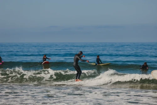 Almond X KBut | Mega Beach Chicken -Surf Drift Shop 2E1A3814