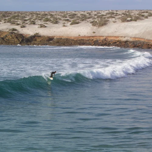 Almond X Chomp | Rover Model -Surf Drift Shop conner rover mex 001 f23d3862 523f 44fb 8b10 d3b41701947f scaled